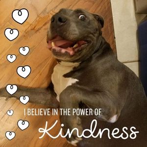 Meet your Posher, Debbie